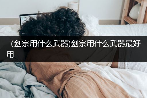 （剑宗用什么武器)剑宗用什么武器最好用